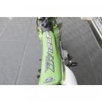 Mini Motocicleta Cross Pro Tork TR125F Supermotard Verde