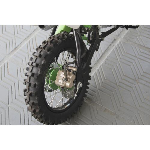 Mini Motocicleta Cross Pro Tork TR125F Supermotard Verde