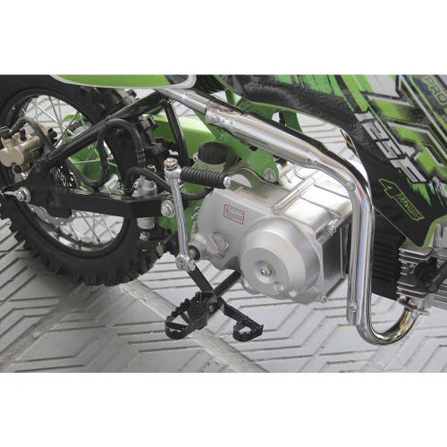 Mini Motocicleta Cross Pro Tork TR125F Supermotard Verde